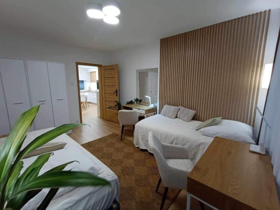 Stary ToruńApartament Podgorna 19公寓 外观 照片