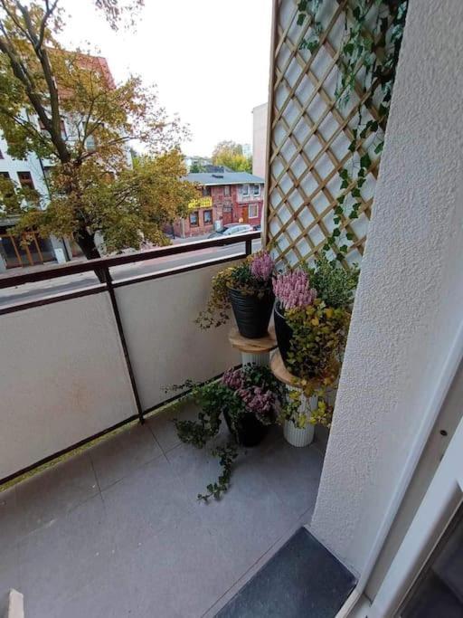Stary ToruńApartament Podgorna 19公寓 外观 照片